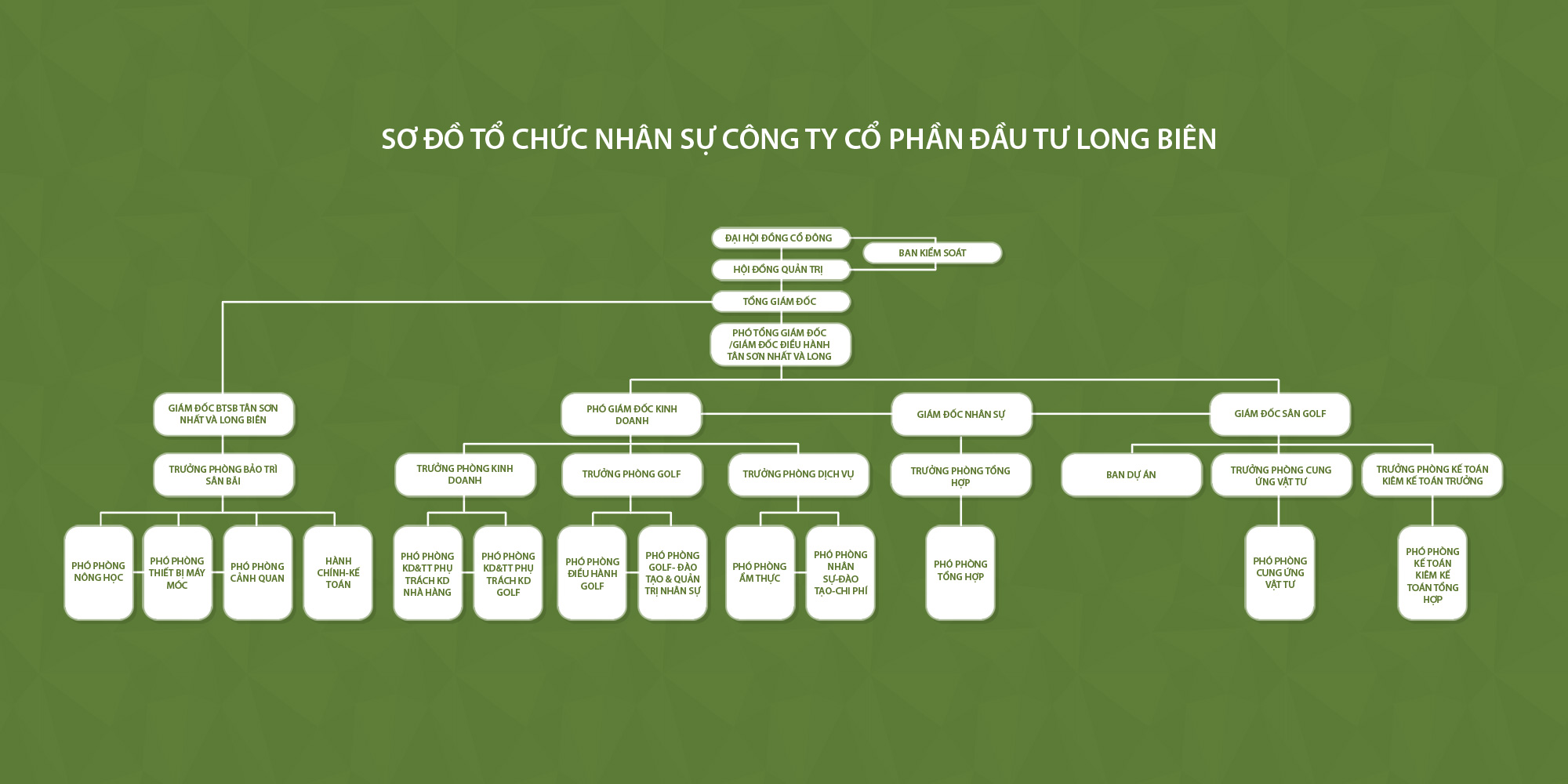 Cơ cấu tổ chức